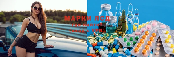 гашик Александровское