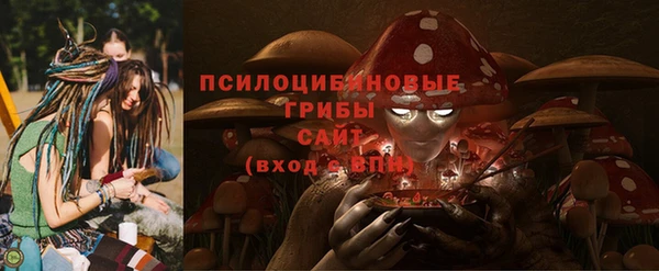 MDMA Premium VHQ Аркадак