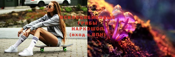 MDMA Premium VHQ Аркадак