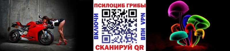 Галлюциногенные грибы GOLDEN TEACHER  Данилов 